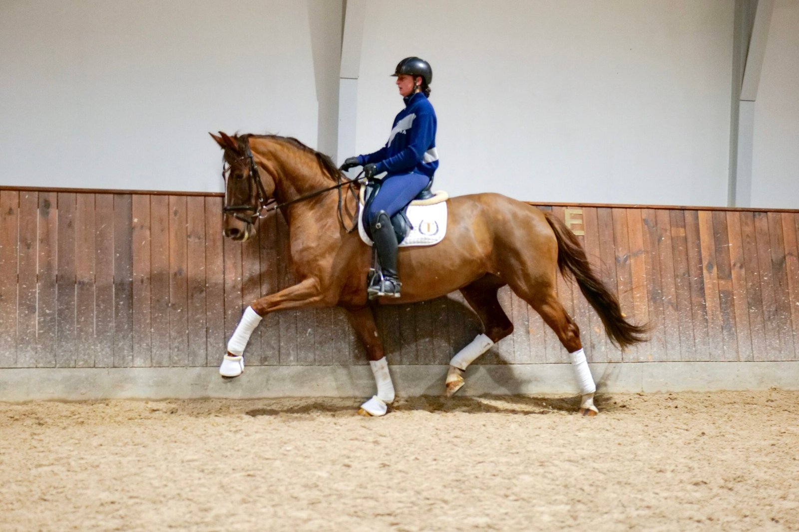 58ef4e75 0f5d 48e5 bc24 70fd1664d669